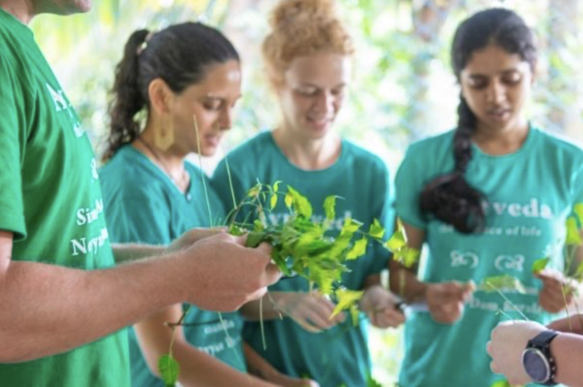 Ayurvedic Self-Care and Wellness Course: A Journey to Holistic Health